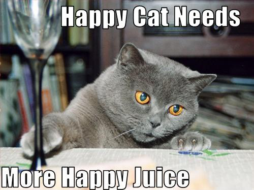 Name:  Happy Cat Needs More Happy Juice.jpg
Views: 506
Size:  134.8 KB
